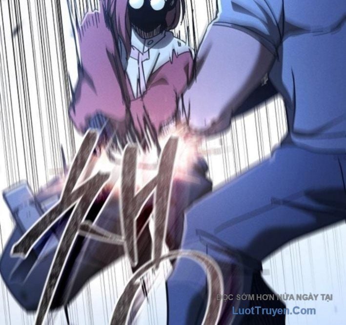 Chapter 13