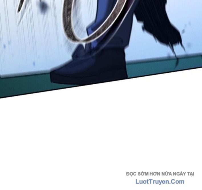 Chapter 13