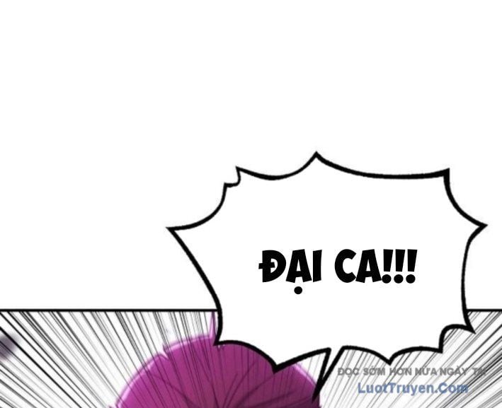Chapter 13