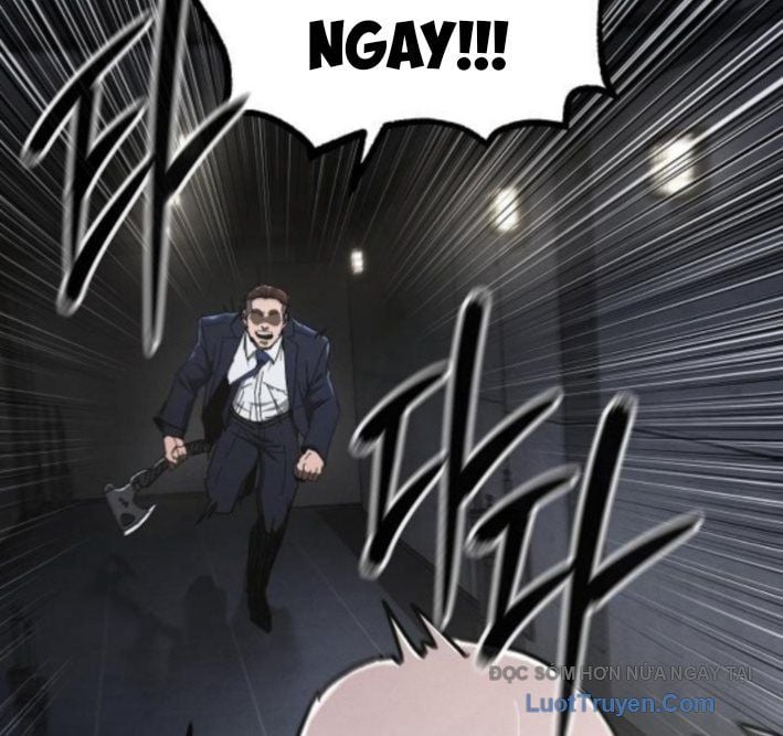 Chapter 13