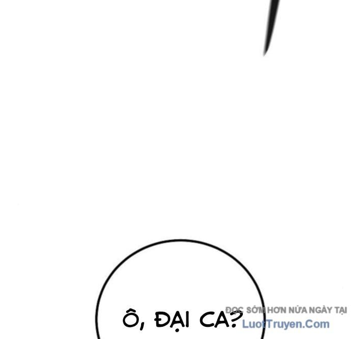 Chapter 13
