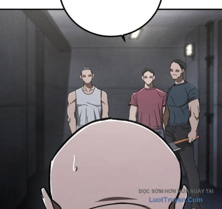 Chapter 13