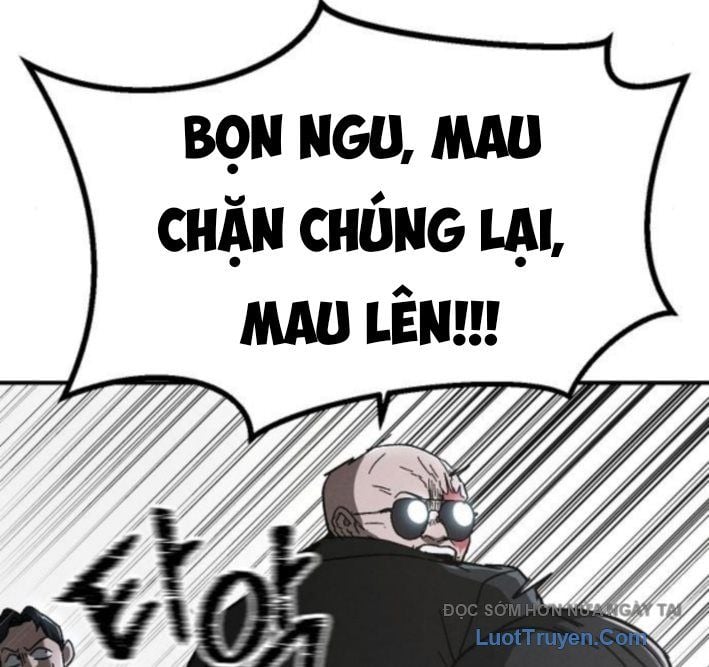 Chapter 13