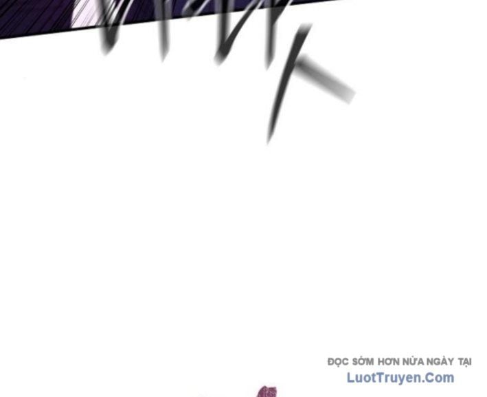 Chapter 13