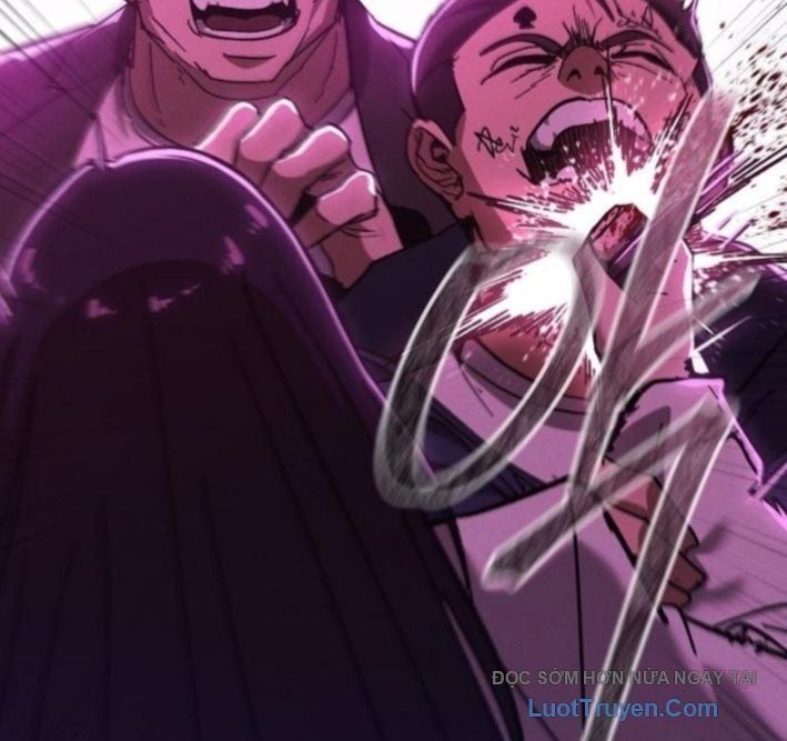 Chapter 13