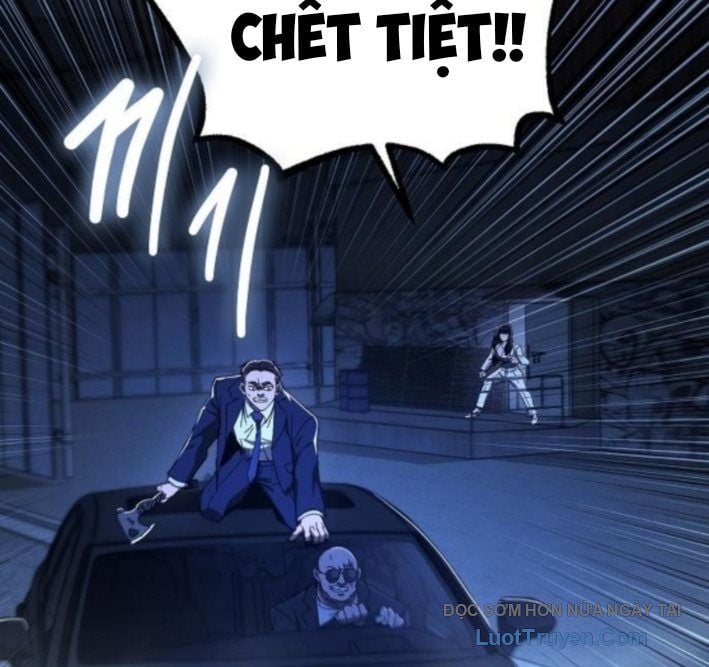 Chapter 13