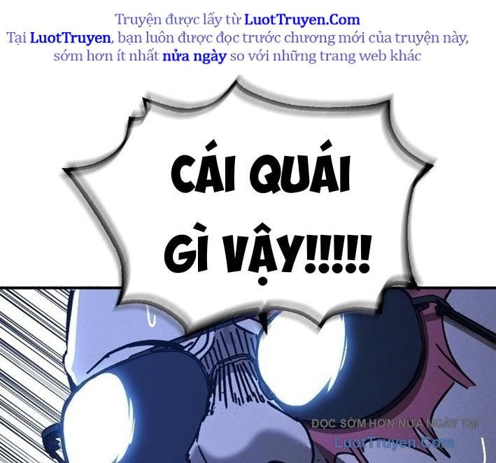 Chapter 13