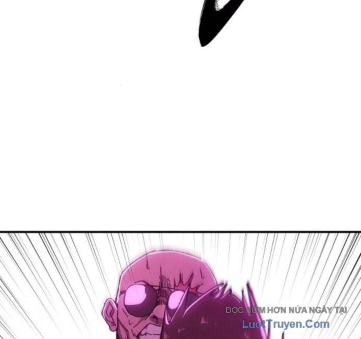 Chapter 13
