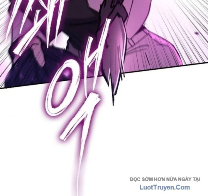 Chapter 13
