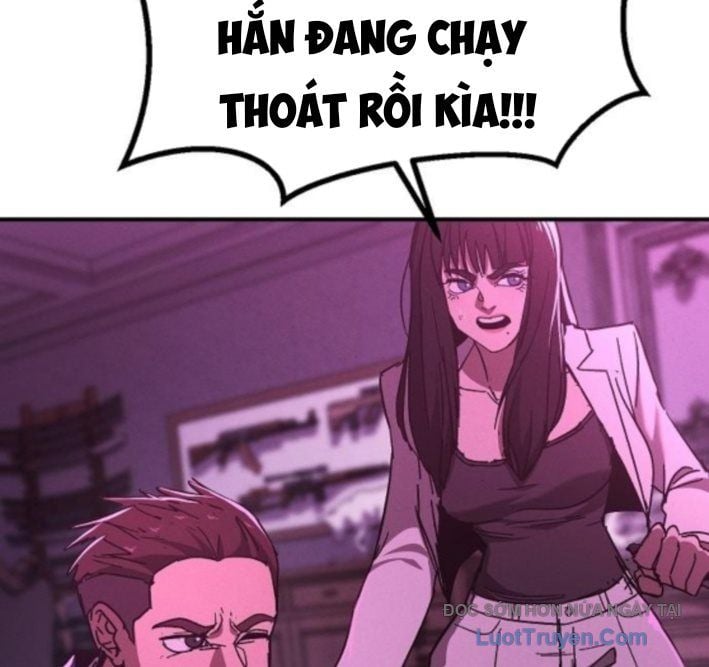 Chapter 13