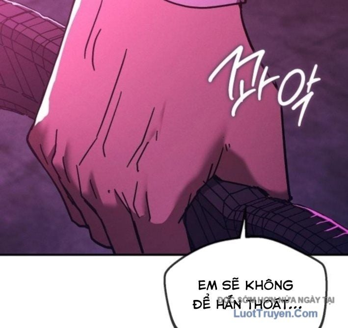 Chapter 13
