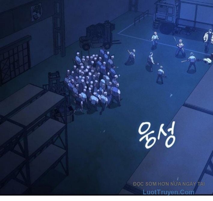 Chapter 13