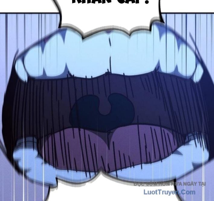 Chapter 13