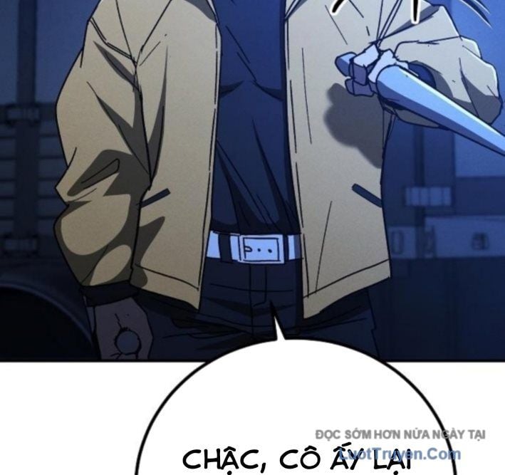 Chapter 13
