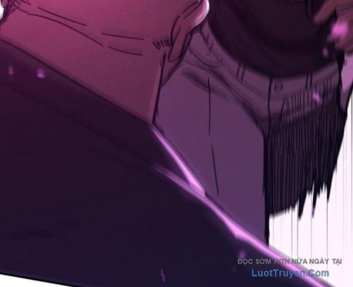 Chapter 13
