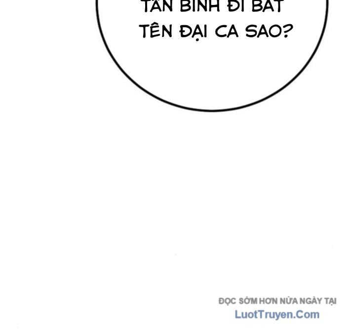 Chapter 13