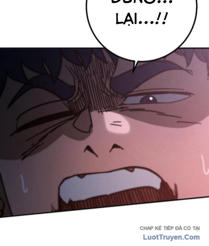 Chapter 16