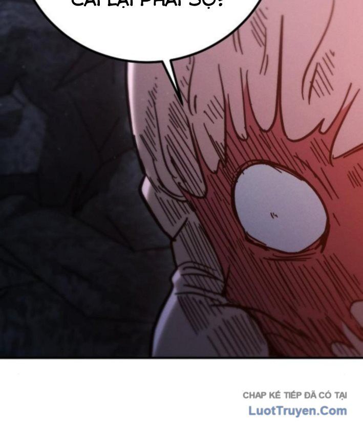 Chapter 16