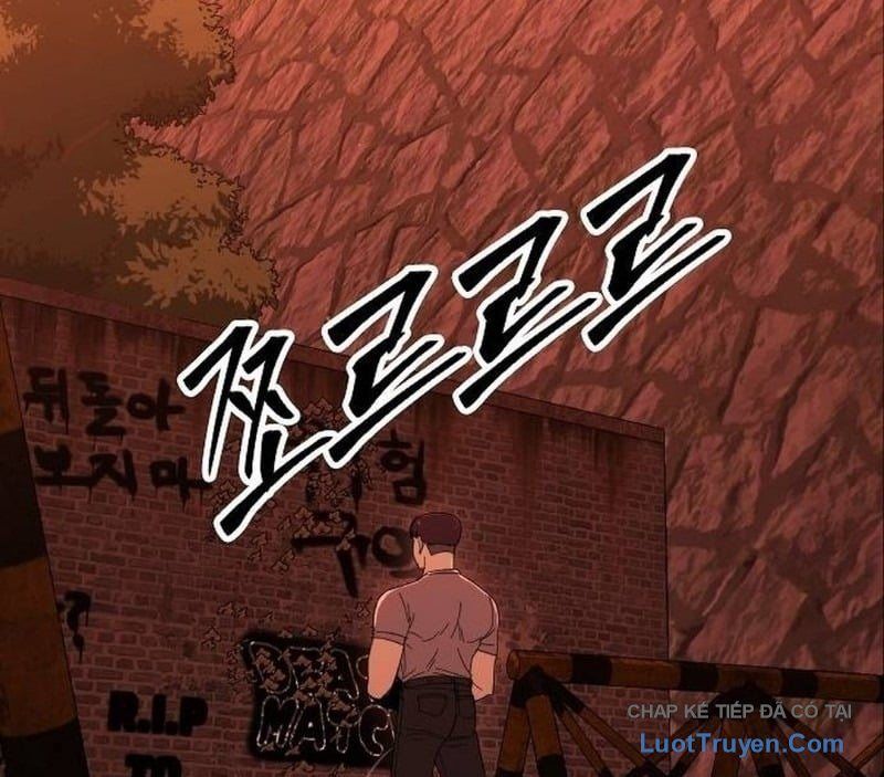 Chapter 17