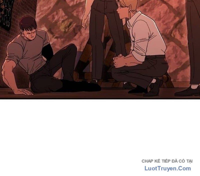 Chapter 17