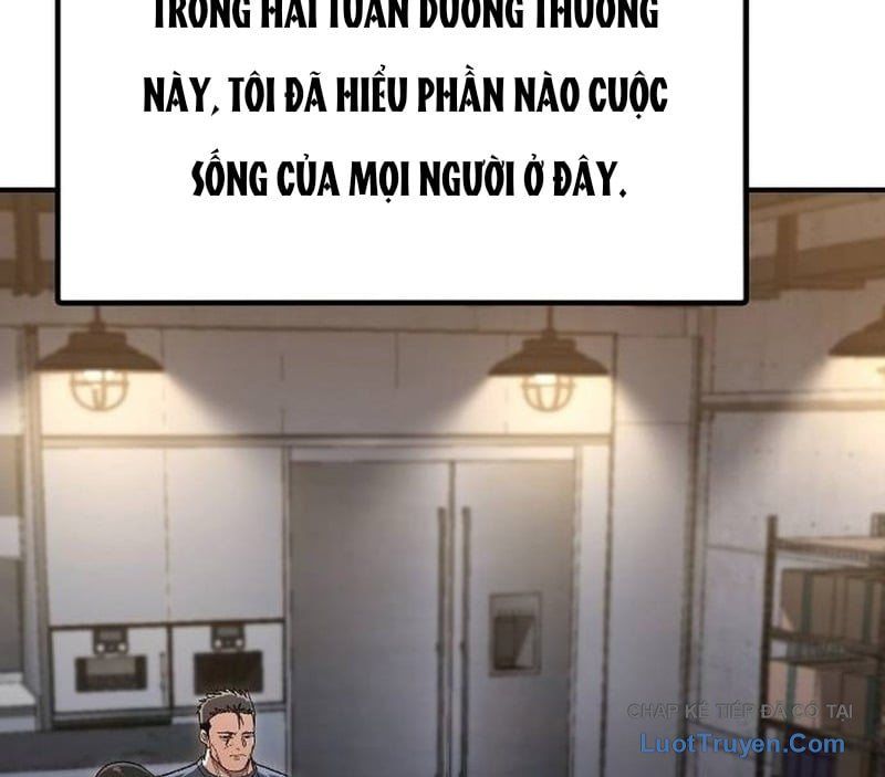 Chapter 17