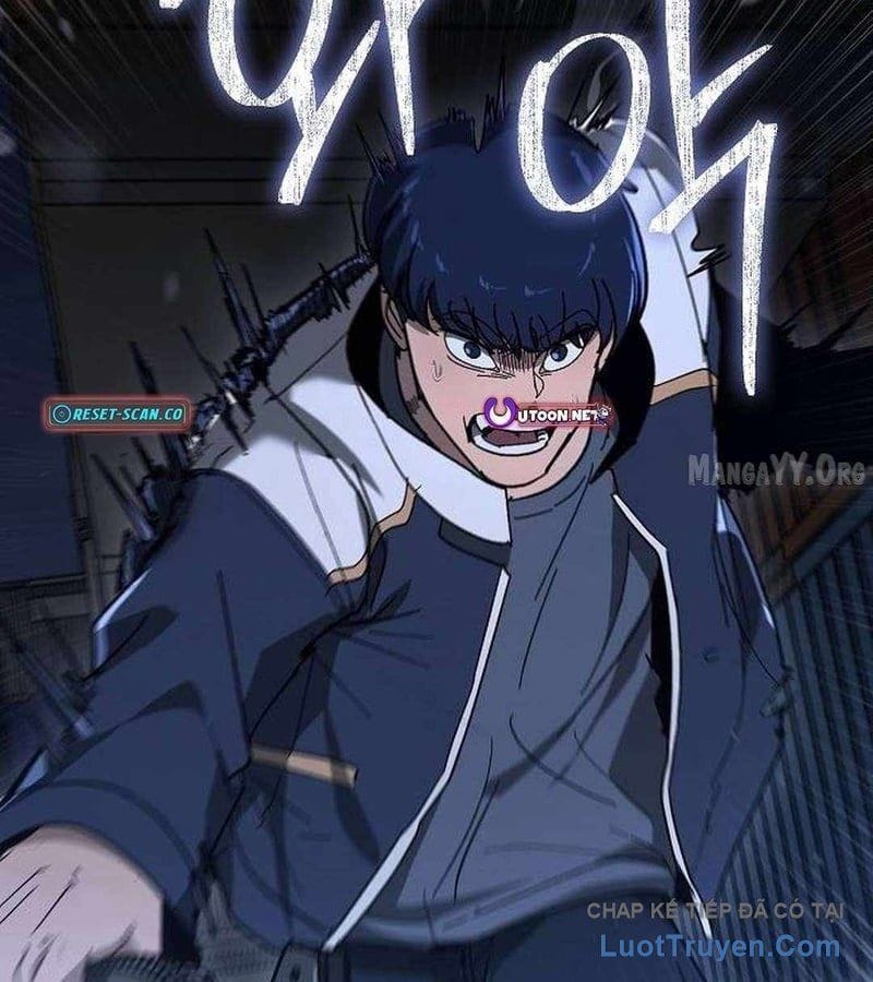 Chapter 19