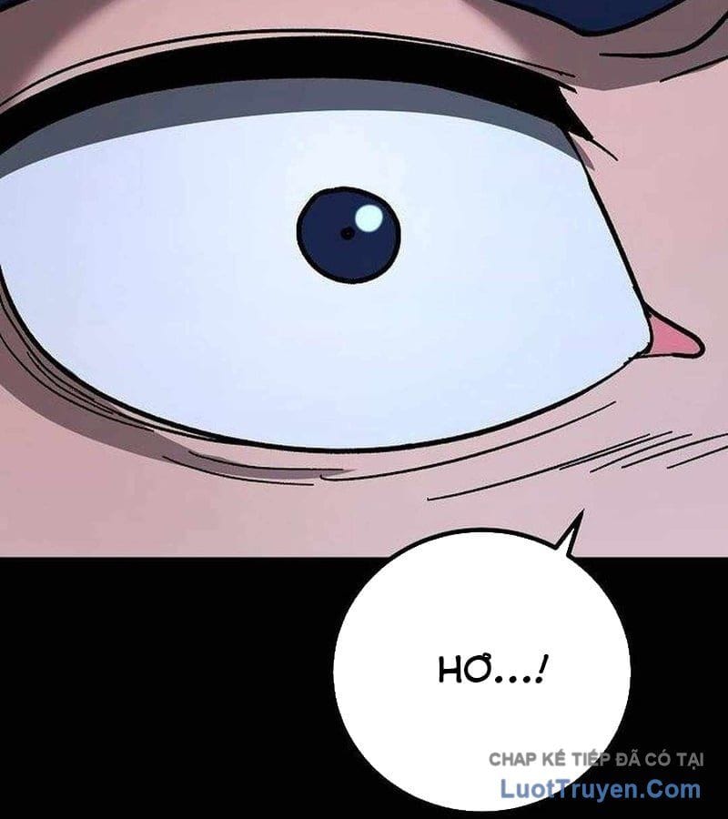 Chapter 19