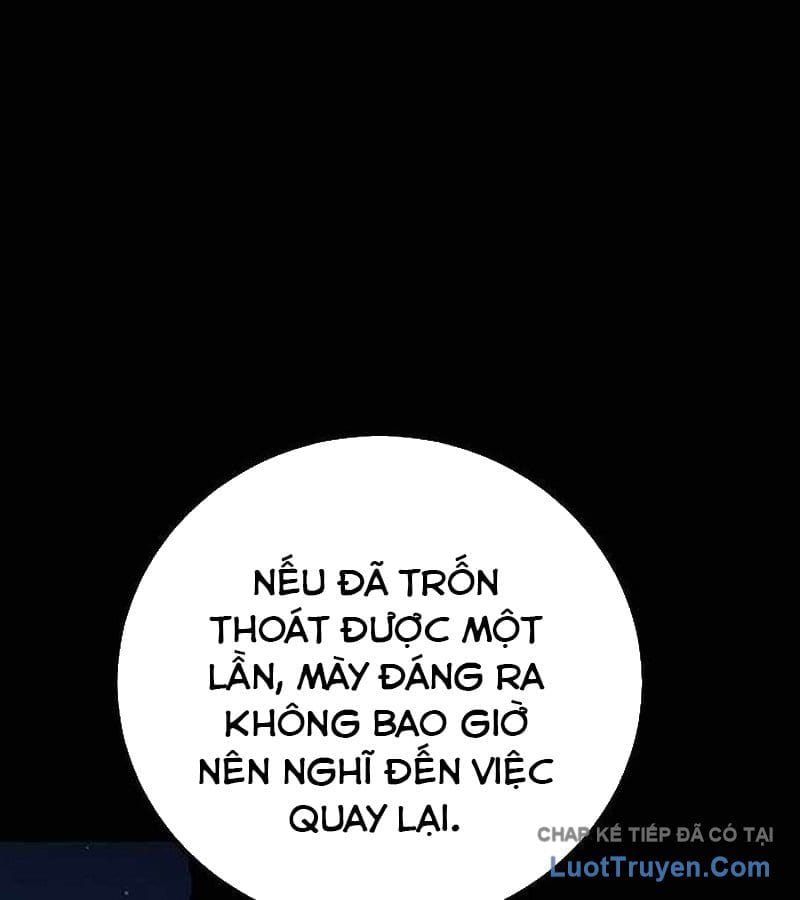 Chapter 19