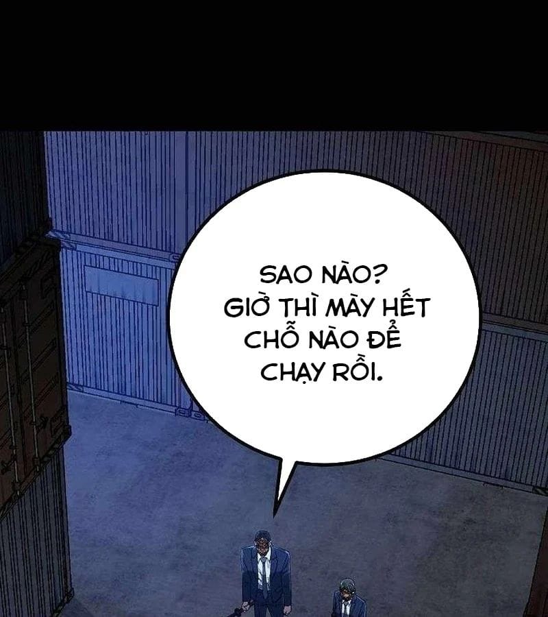 Chapter 19