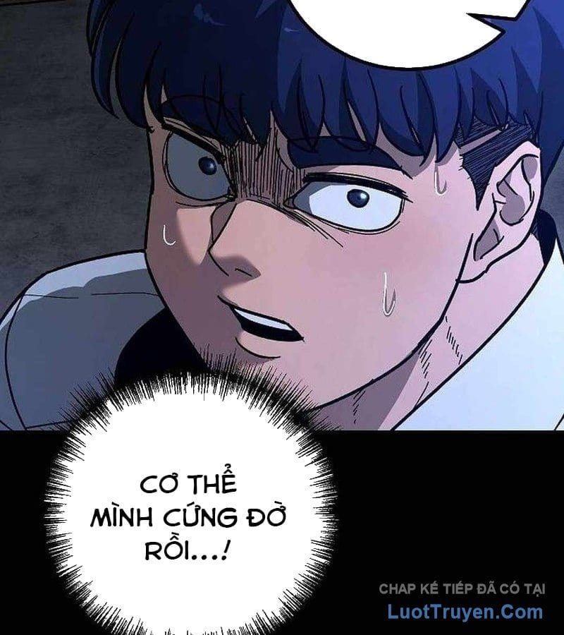 Chapter 19