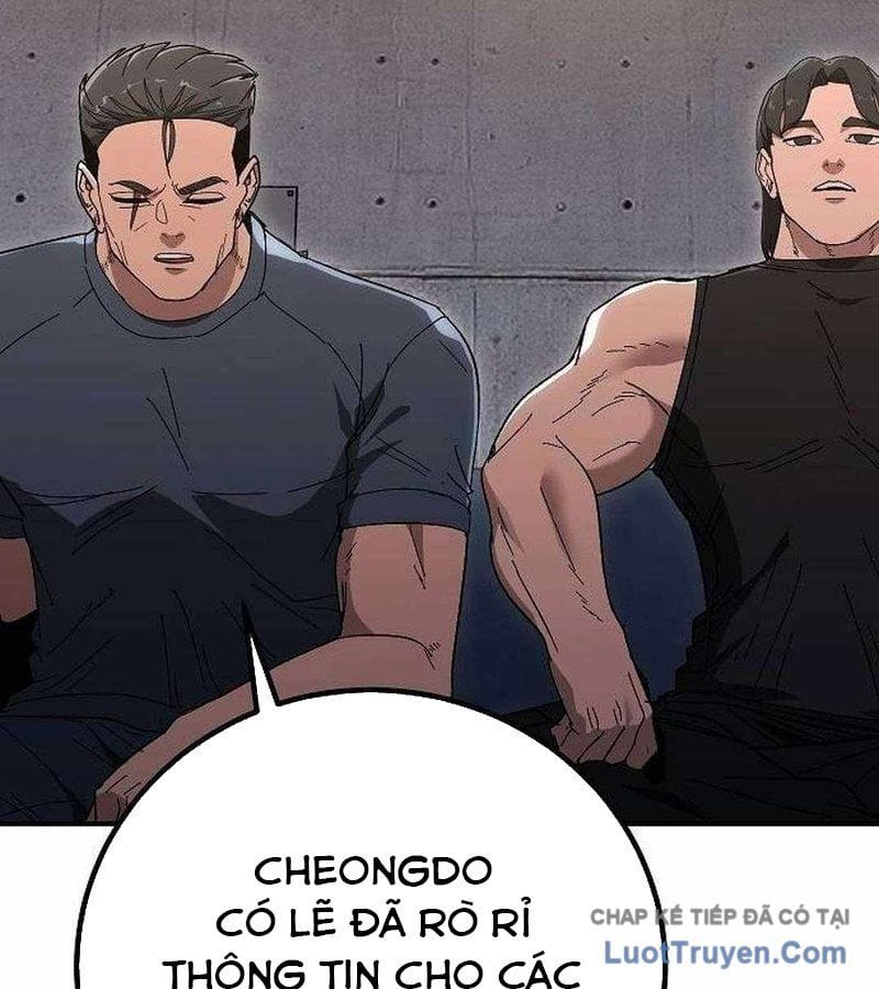 Chapter 19