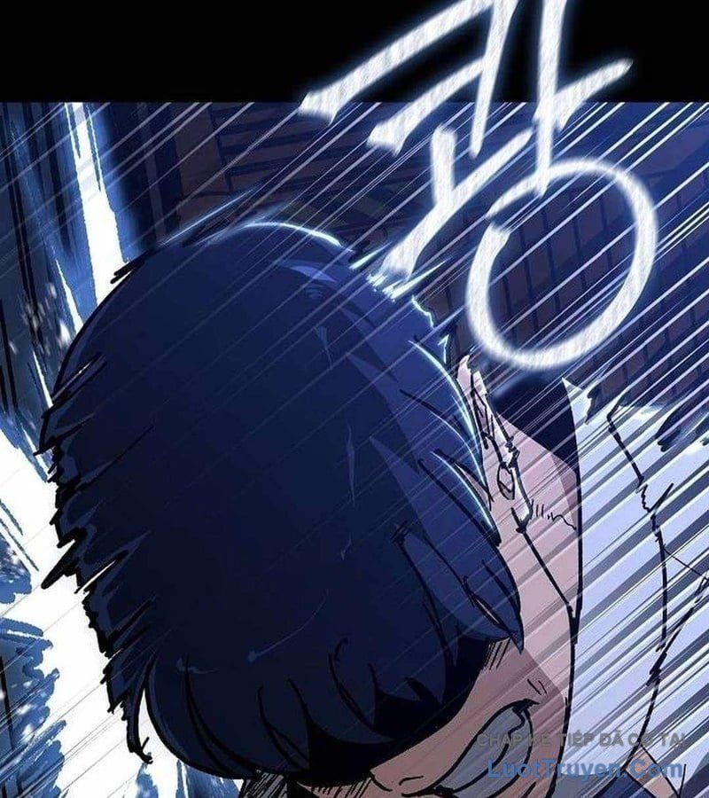 Chapter 19