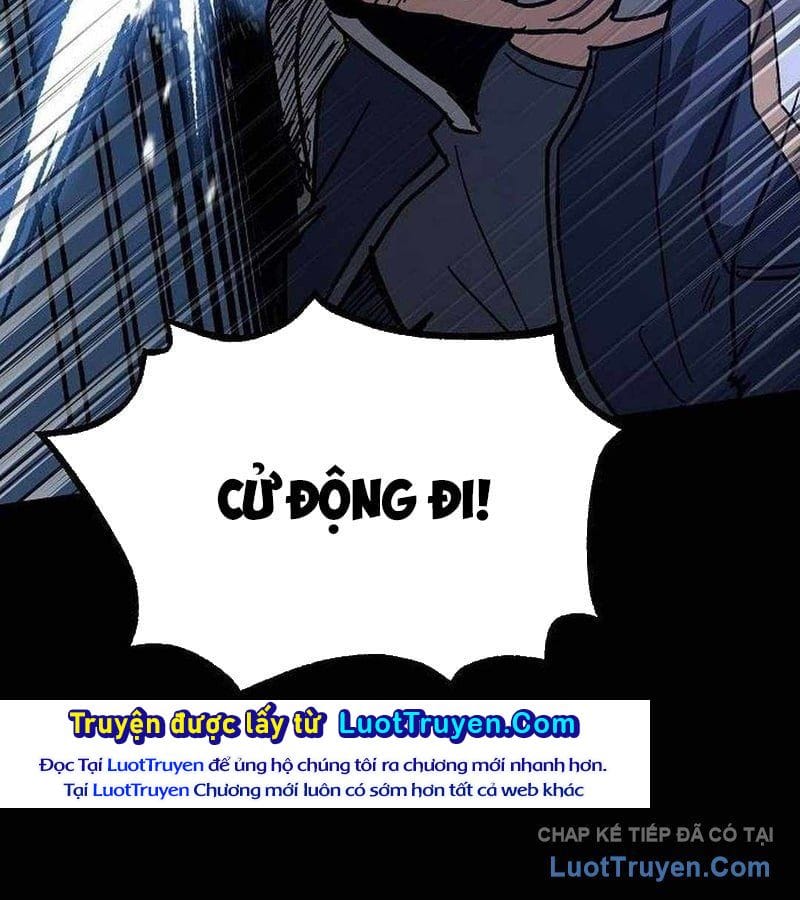 Chapter 19