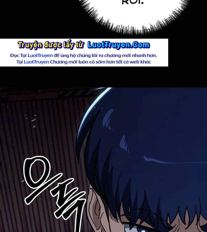 Chapter 19