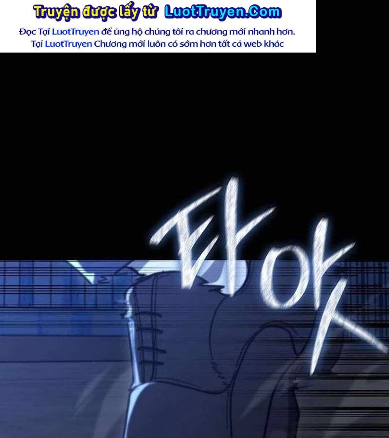 Chapter 19