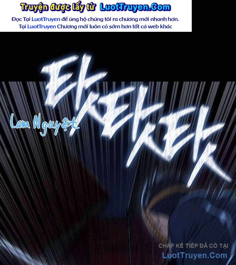 Chapter 19