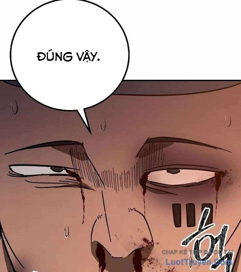 Chapter 19