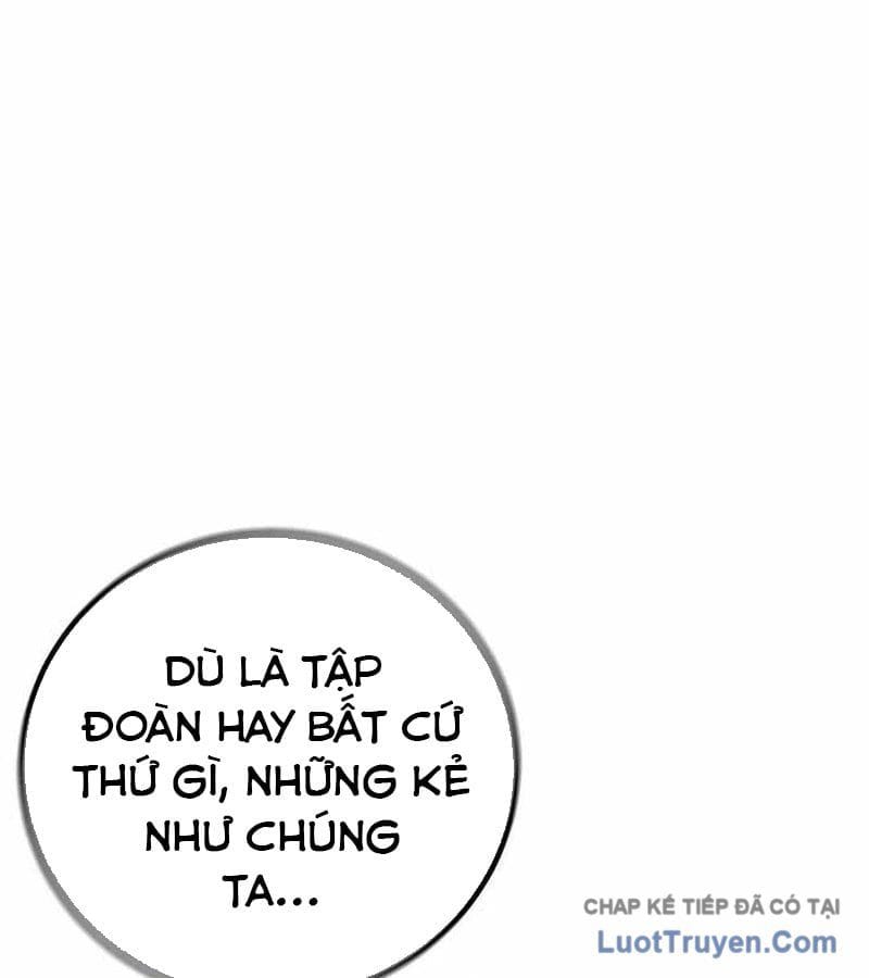 Chapter 19