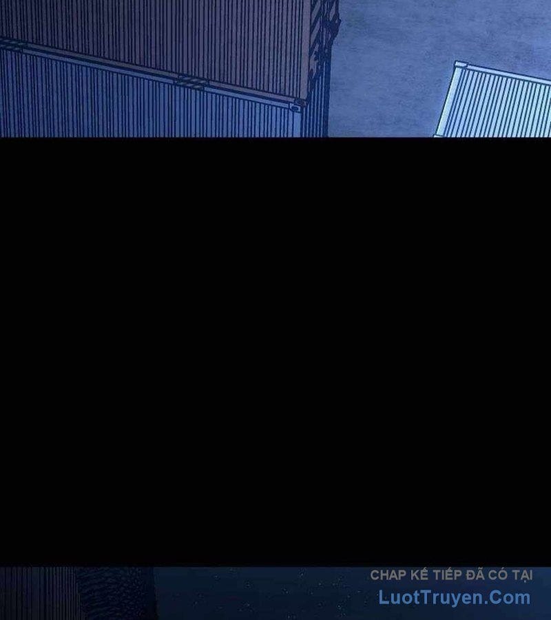 Chapter 19