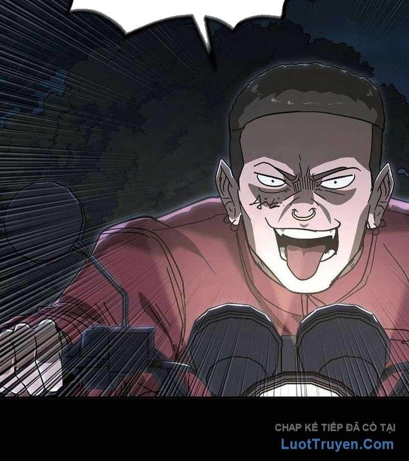Chapter 19