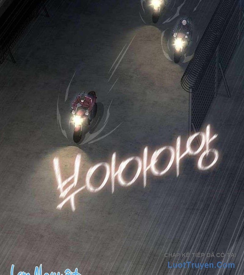 Chapter 19