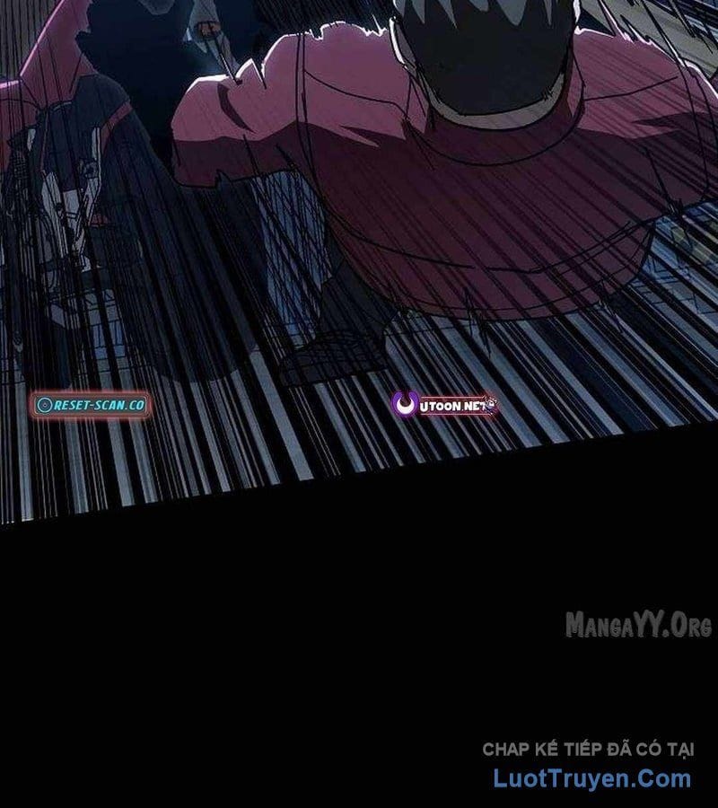 Chapter 19