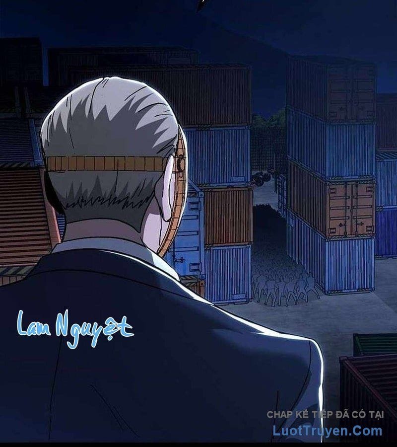 Chapter 19