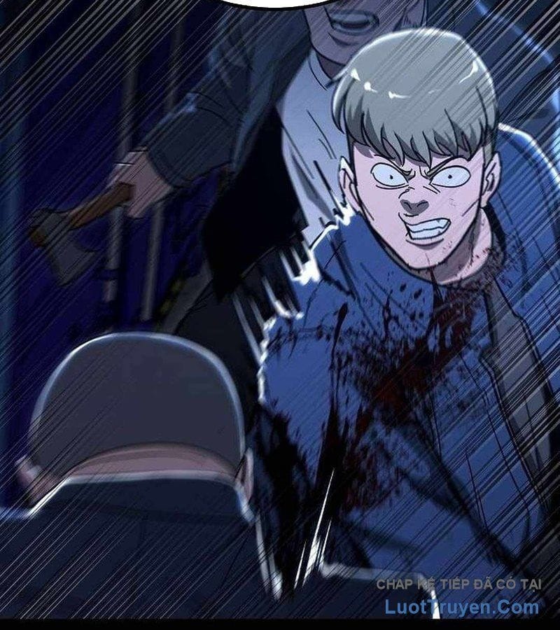 Chapter 19