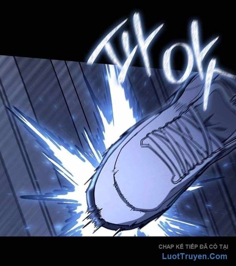 Chapter 19