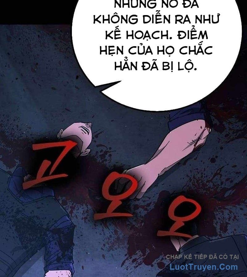Chapter 19
