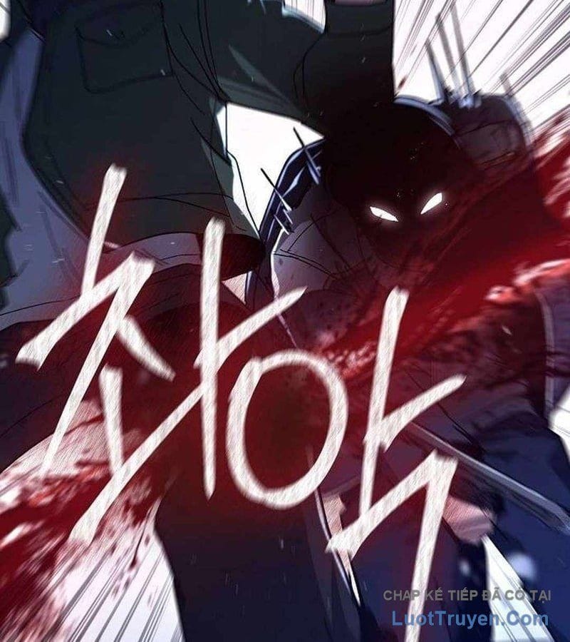 Chapter 19