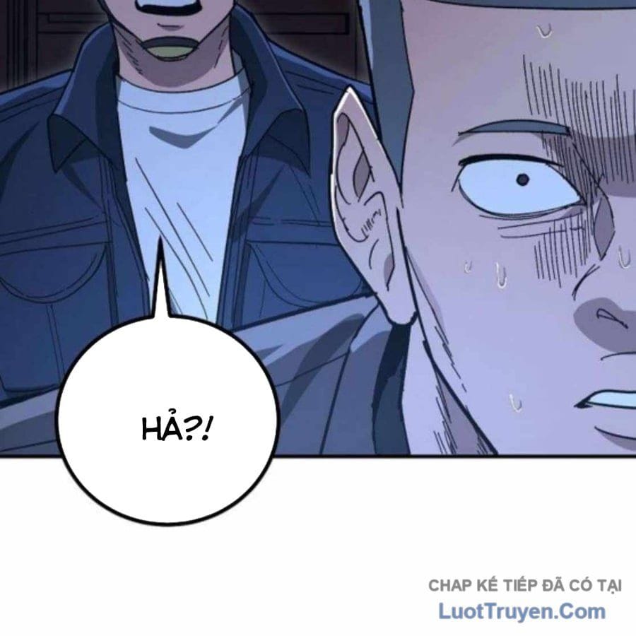 Chapter 20