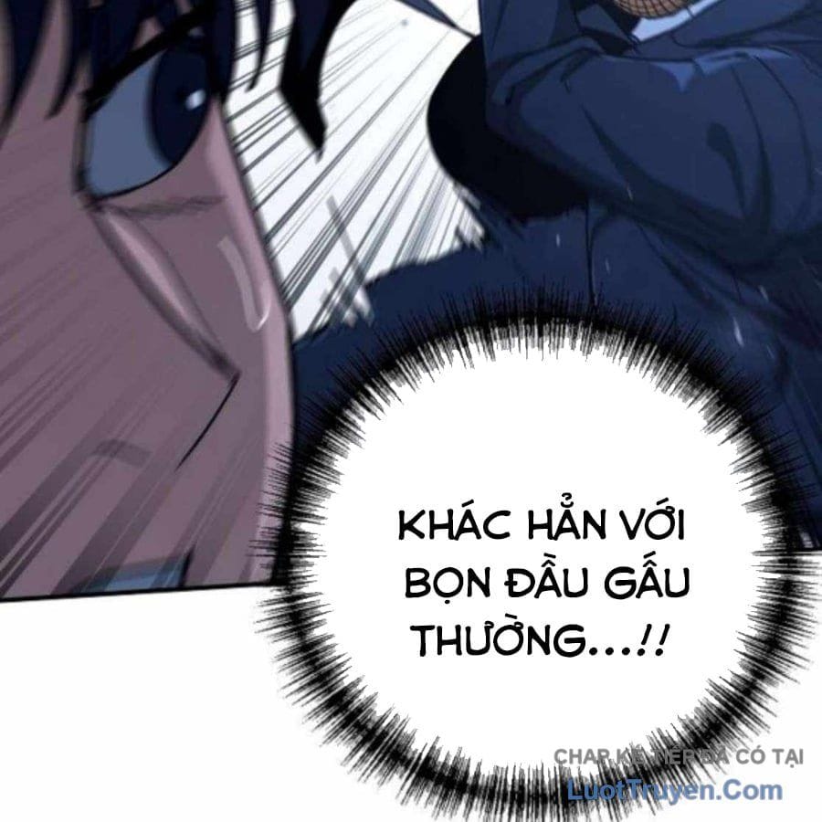 Chapter 20