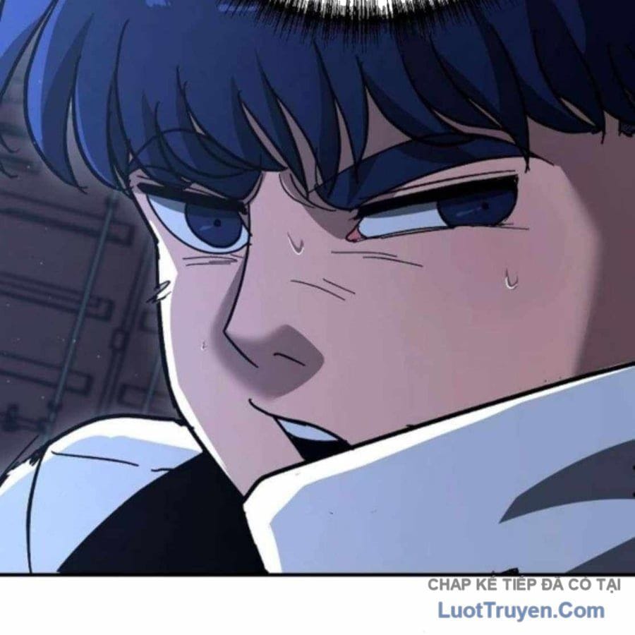 Chapter 20